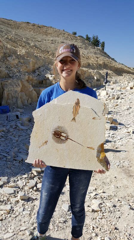 fossils for sale near me.